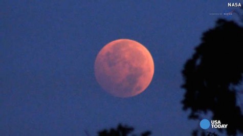Many stay awake to observe Blood Moon