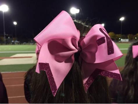 The cheerleaders wear pink bows to remind the audience how early detection can save a life.