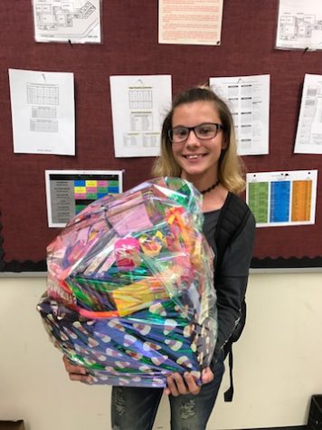 The winner of the junior class Halloween Basket Raffle is Beth Zuwatsky.