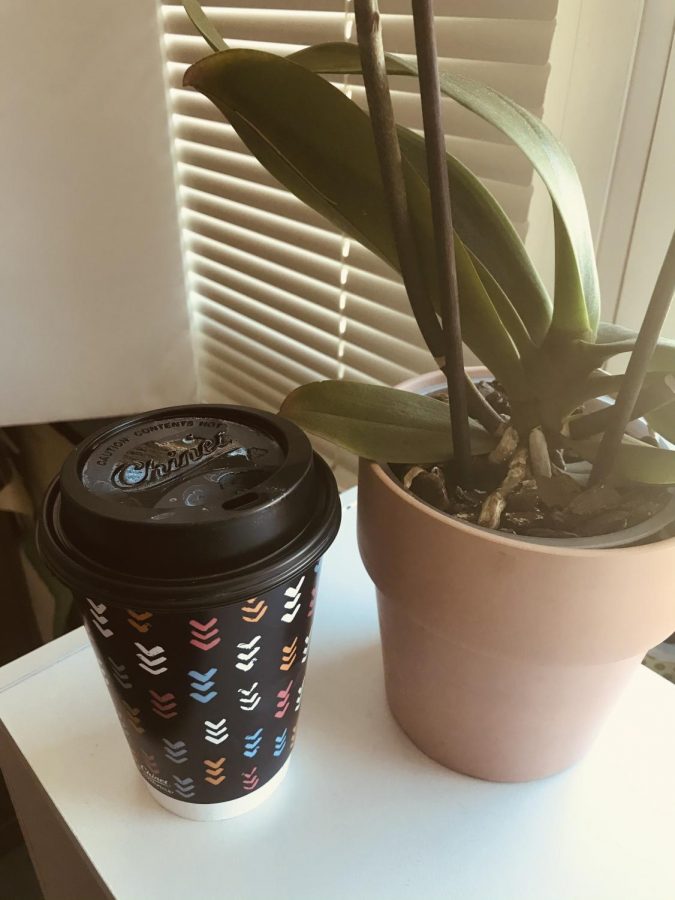 Coffee cups are a usual site on a teacher's desk and young people often use caffeine to stay energized while studying. 
