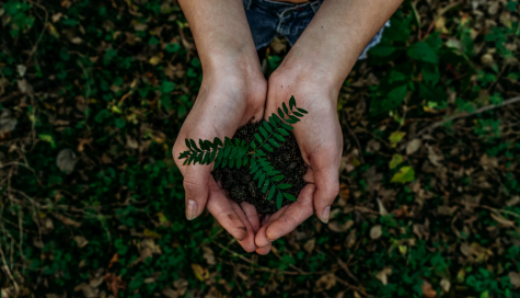 Noah Buscher’s “Earth and I” illustrates a clear message about working to improve the environment and our ecosystems. Depicting this image of a plant being grown in the hands of a person, it sheds light on the hope that if we change our ways and contribute to a sustainable lifestyle we can improve the planet’s health.
