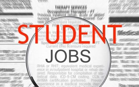 Working Wildcats: How to Get a Job as a Student