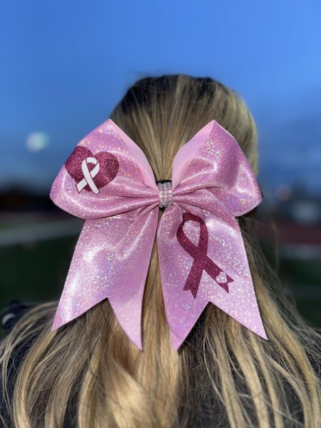 Cats United for a Cause: Breast Cancer Awareness Month