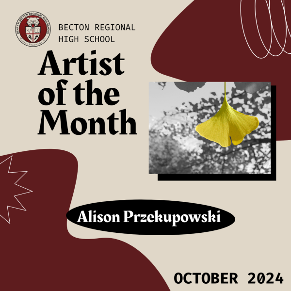 October Artist of the Month: Alison Przekupowski