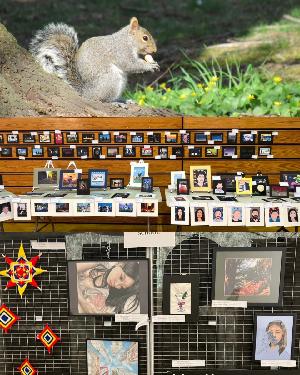 Art in Action: Annual Art Show and Field Trips